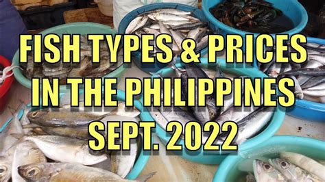 Philippines Live Fish Prices .